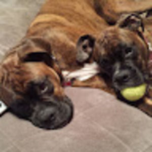 Meet your Posher, Tabatha